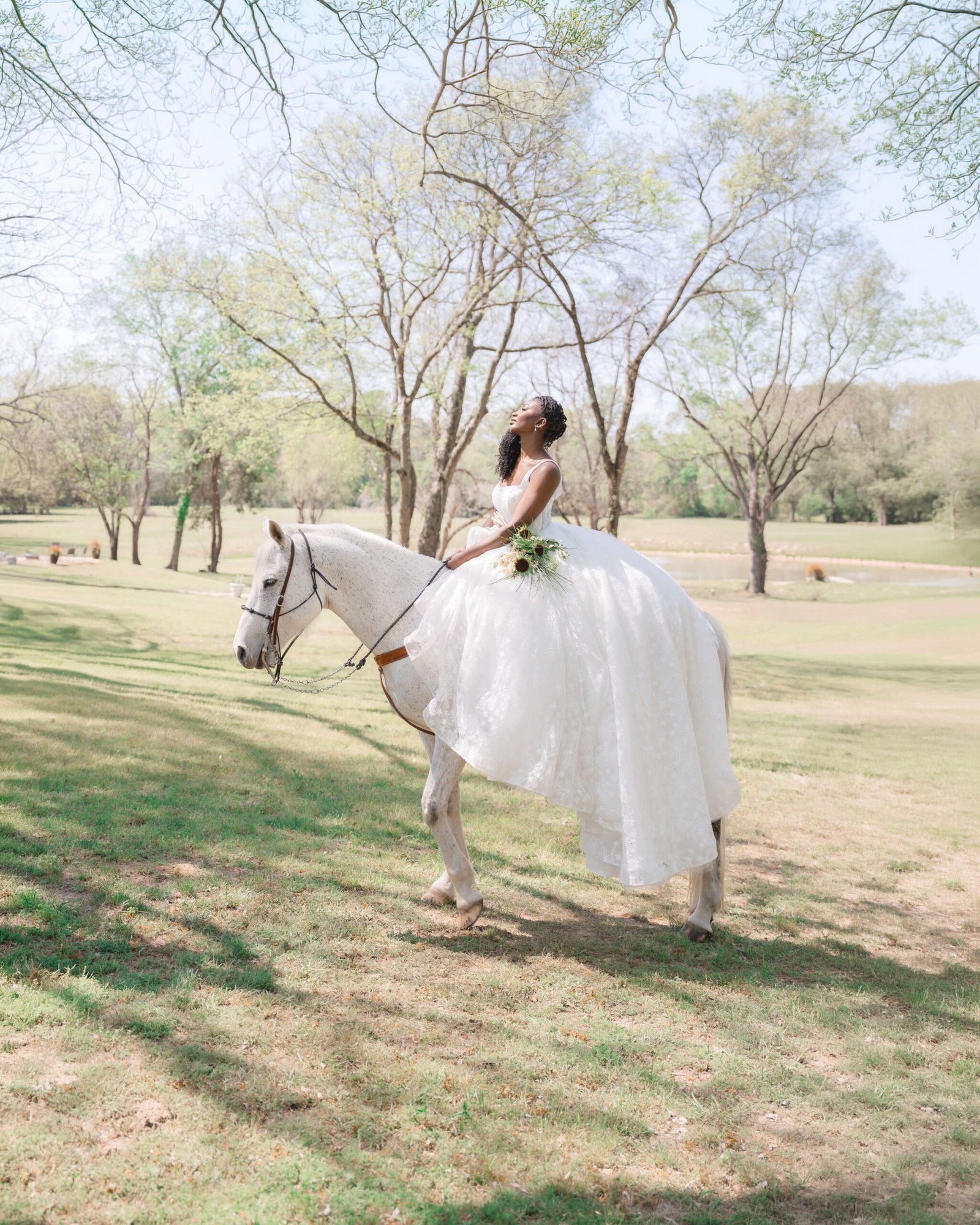 Bride in white ball gown riding white horse in open field — fine art bridal portrait by Teresa Vitela Photography, Bryan College Station Texas