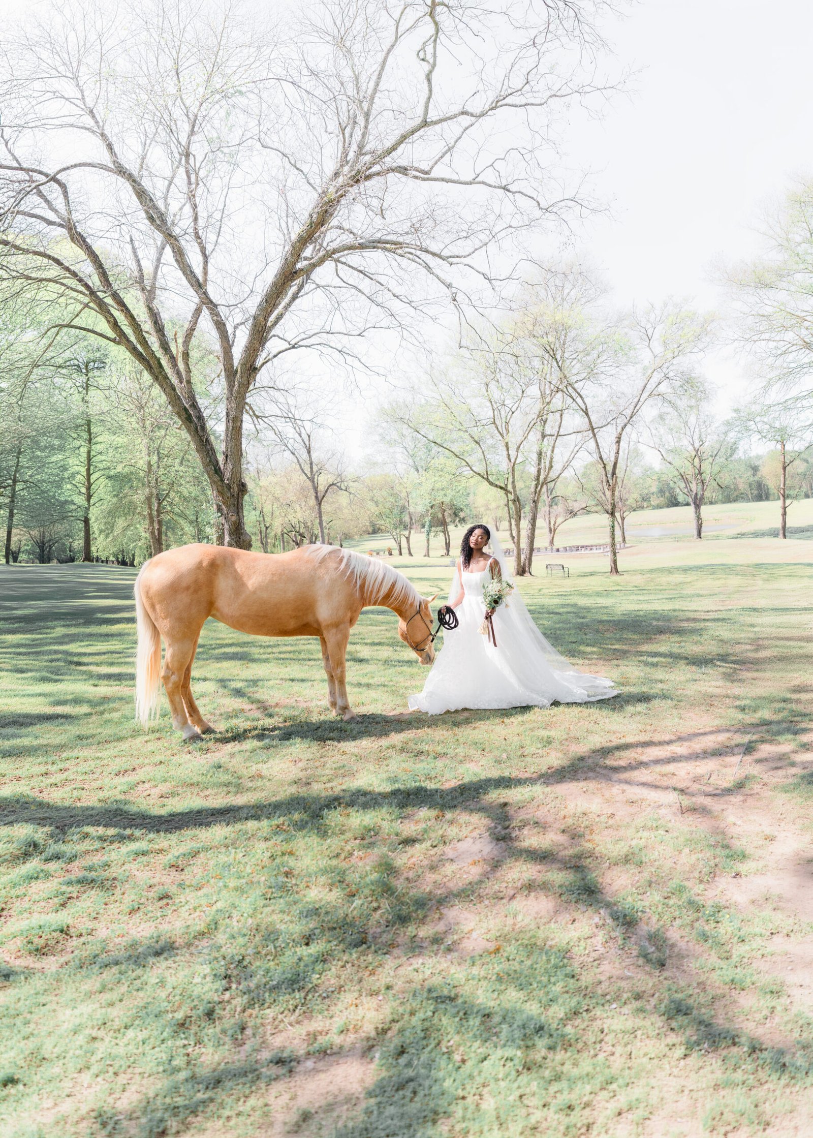 Elegant bride in white gown with veil and sunflower bouquet — bridal portrait by Teresa Vitela Photography Bryan College Station Texas
